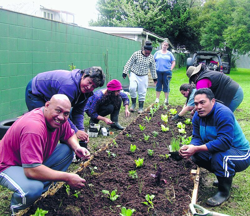Creating a community garden was one of the activities in the Upper Hutt parish wellness programme.