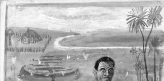 Story of Maori missionary is fascinating