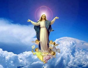 Assumption of our Lady