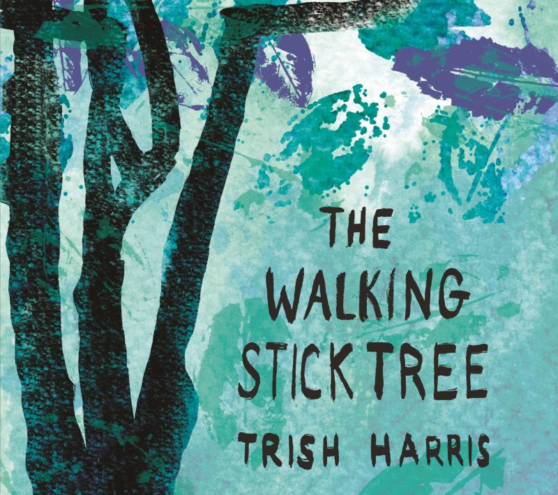 9-the-walking-stick-tree