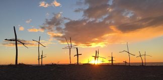 Crosses made of driftwood put on Napier beach