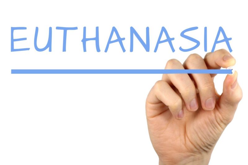 euthanasia