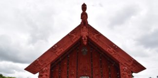 New Maori leaders needed