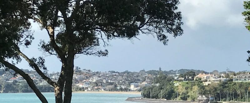Auckland housing