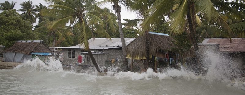 Caritas environment pic