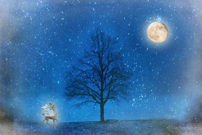 Silent night