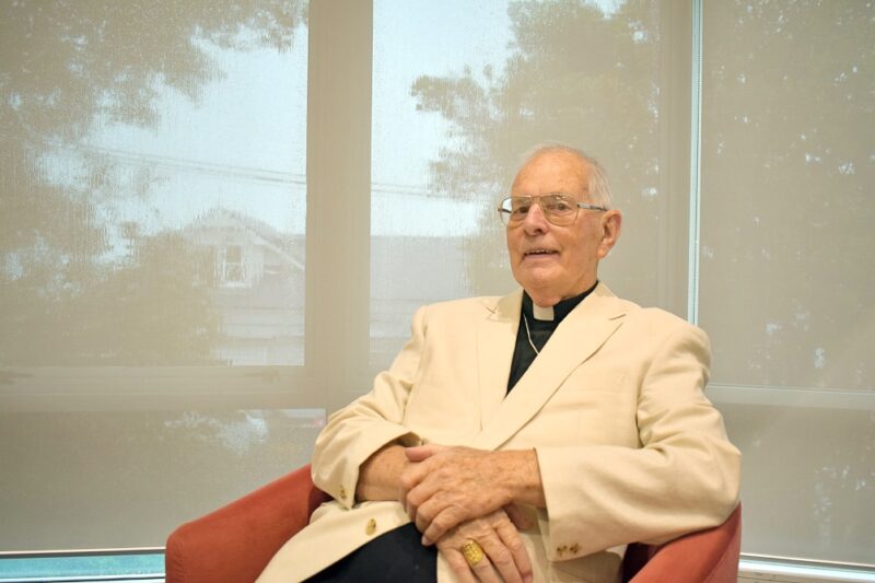 20 Cardinal Tom sitting