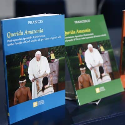 A reflection on Querida Amazonia – Bishop Stephen Lowe