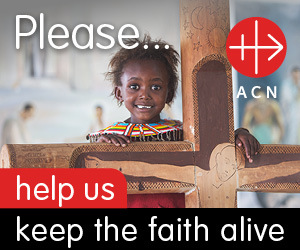 ACN 300x250