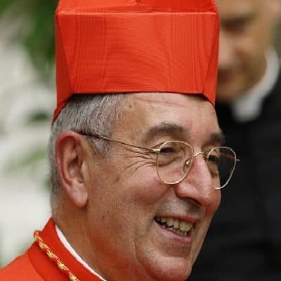 Cardinal vicar of Rome hospitalised with Covid-19