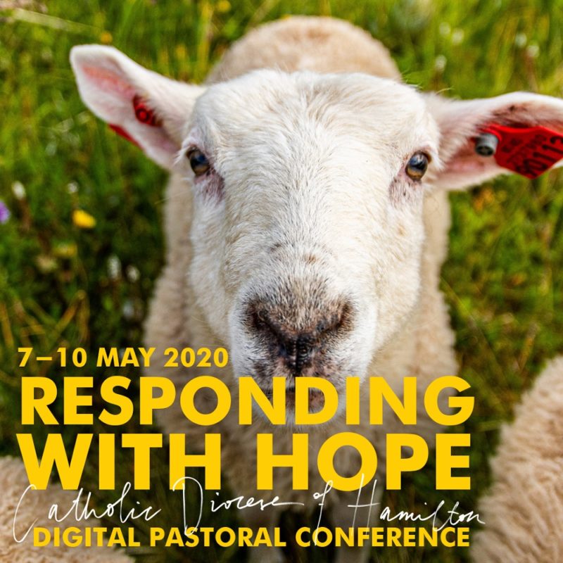 A poster for the video-conference.
