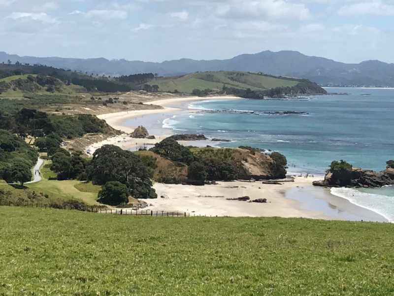 tawharanui