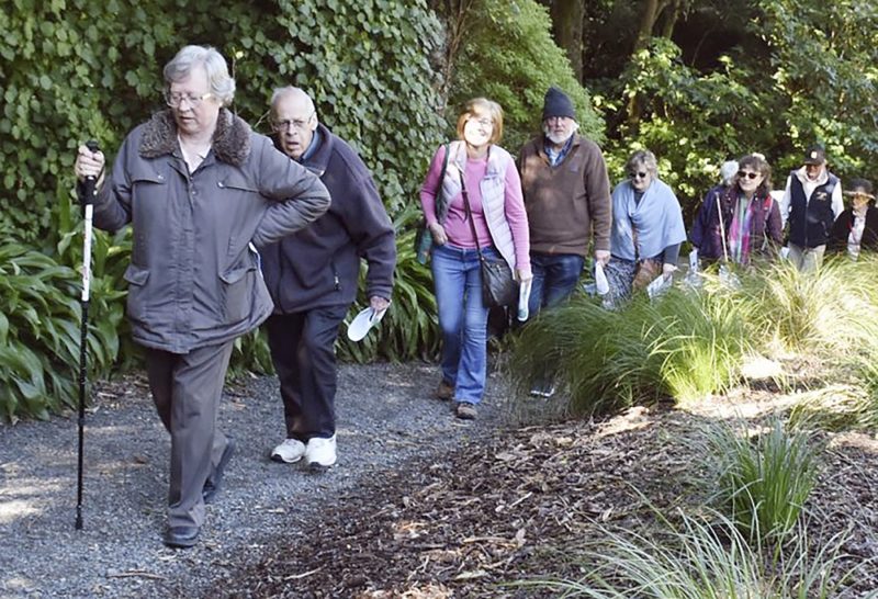 Walking in Ōtari-Wilton’s Bush
