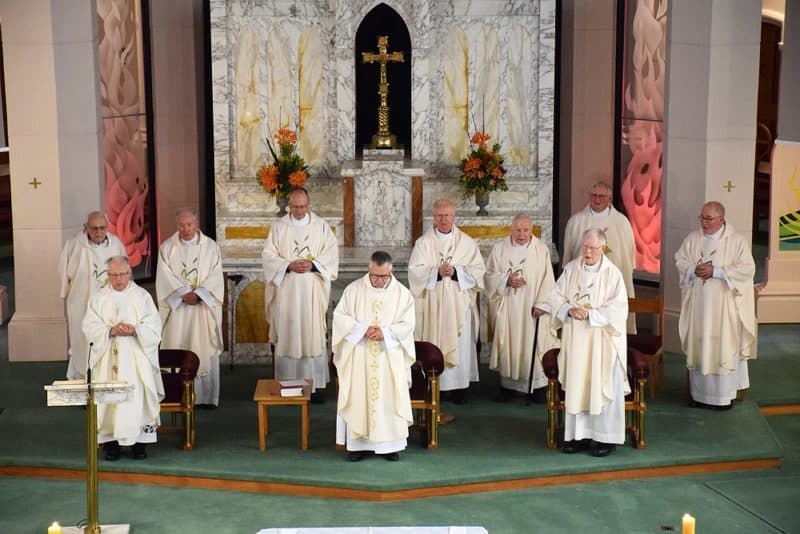 Jubilarians (back, from left): Frs John McLaughlan, John Dykes, Craig Butler, Peter Brockhill, Frank Twiss, Michael Wooller (Also shown is Msgr Brian Walsh); (front, from left): Bishop Peter Cullinane, Cardinal John Dew, Bishop Owen Dolan.