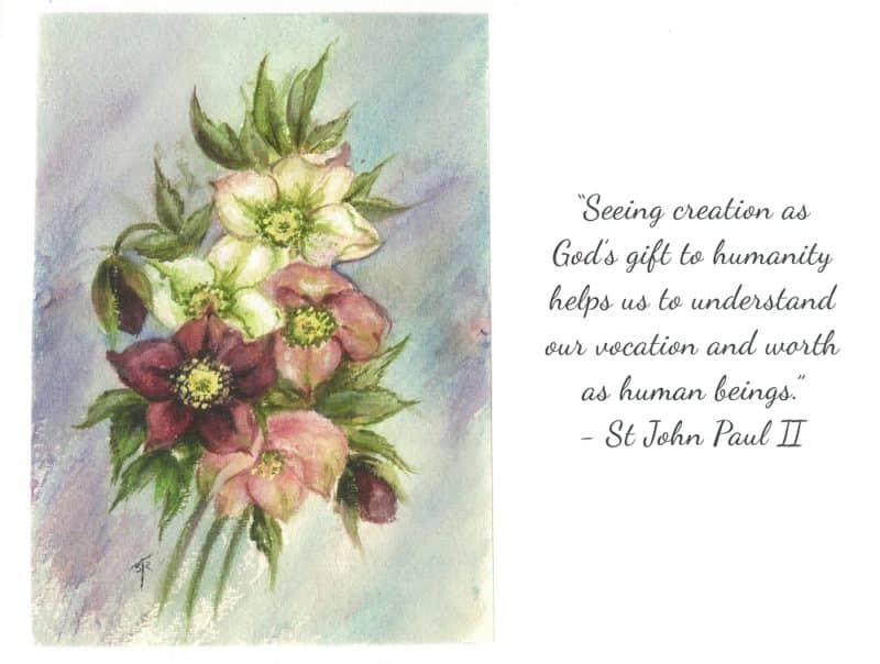 Carmelite Garden_2