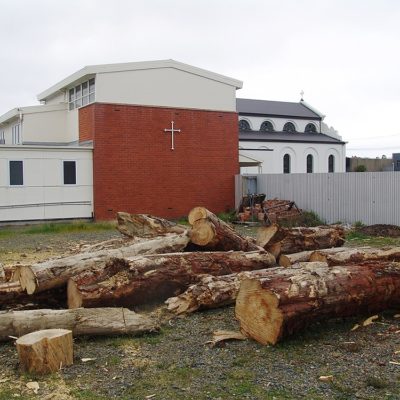 Local expertise shared for Dunedin Vinnies project