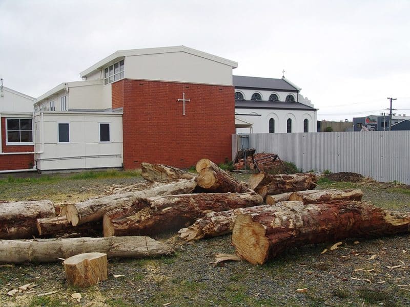 The billet wood logs awaiting cutting and splitting. Mercy Chapel and St Patrick’s Basilica are in the background.
