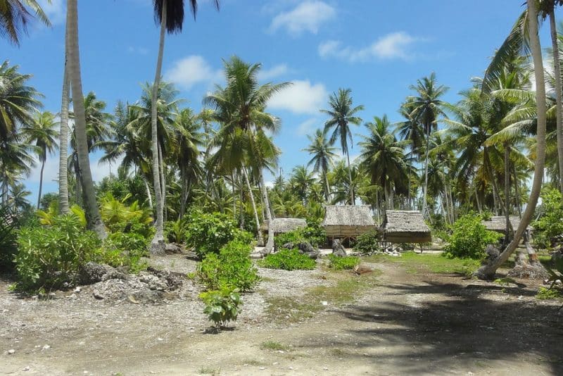Landscape, Kiribati, 2011. Photo: Erin Magee / DFAT