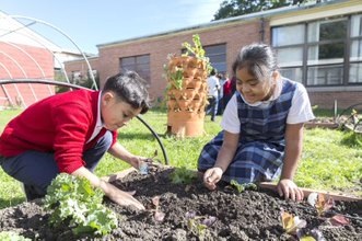 planting
