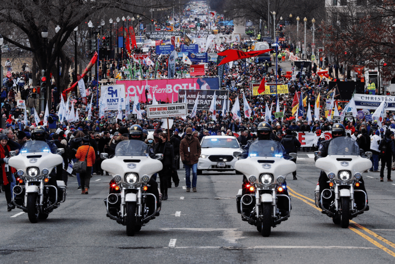 life rally web