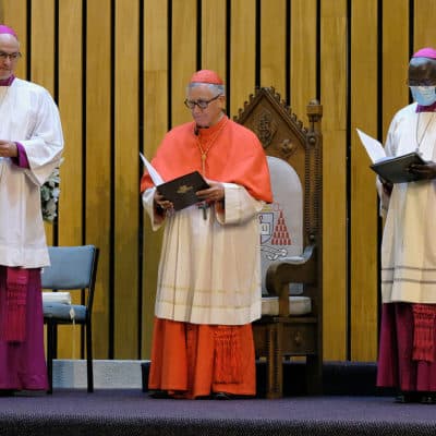 Archbishop Martin welcomed to Wellington