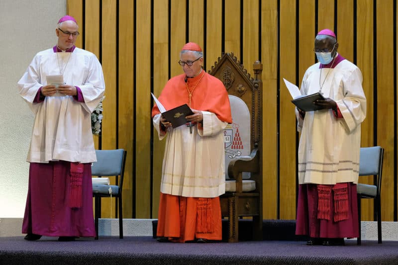 (From left) Archbishop Paul Martin, SM, Cardinal John Dew, Archbishop Novatus Rugambwa (Photo: Annette Scullion, WelCom) 

 