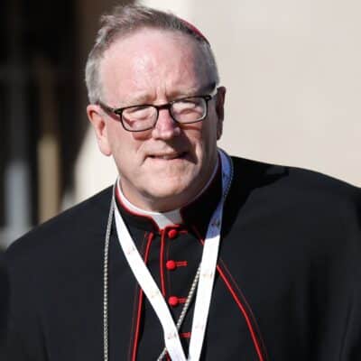 Bishop Barron criticises synod report’s suggestion scientific advances could shift Church morality teaching