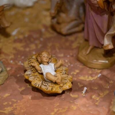 The First-born of all that is